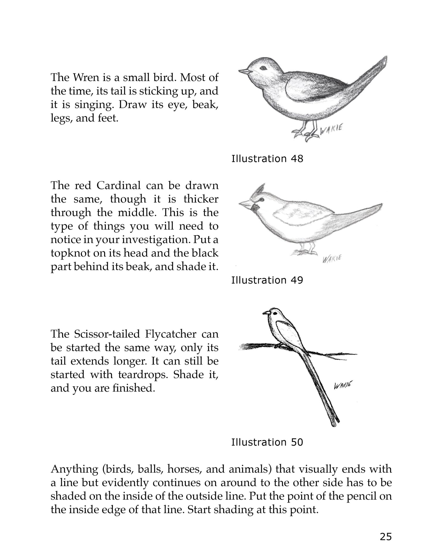 Drawing for All Ages (coil-bound with color printing)